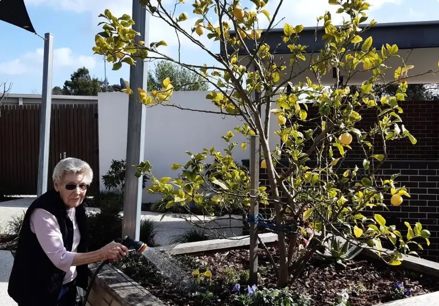 What is the Impact of Government Policies on Aged Care Services?